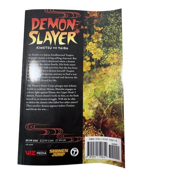 Demon Slayer: Kimetsu no Yaiba, Vol. 17 Paperback Manga, Comics - Picture 4 of 4